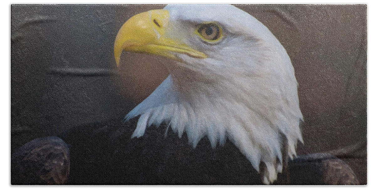 Digital Oil Painting Beach Sheet featuring the digital art Bald Eagle Painting by Flees Photos