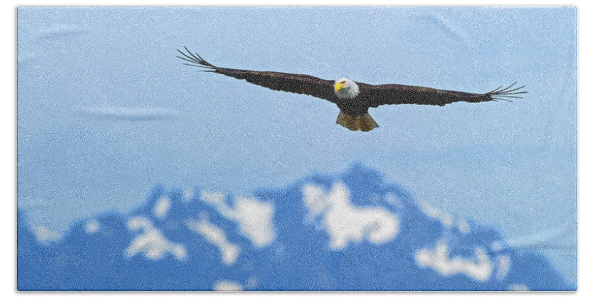  Hood Beach Towel featuring the photograph Bald Eagle Soars over Hood Canal by Gary Langley