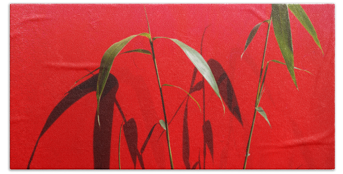 Boston Beach Towel featuring the photograph Bamboo Against Red Wall by SR Green