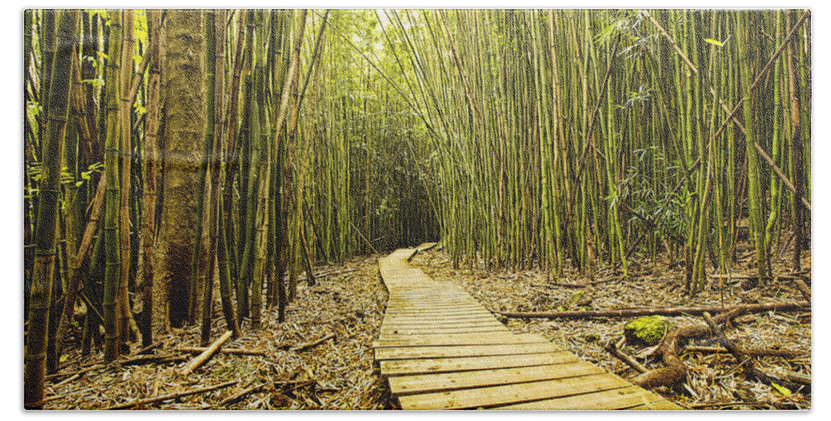 Bamboo Forrest Beach Towel featuring the photograph Bamboo Forrest by Josh Bryant