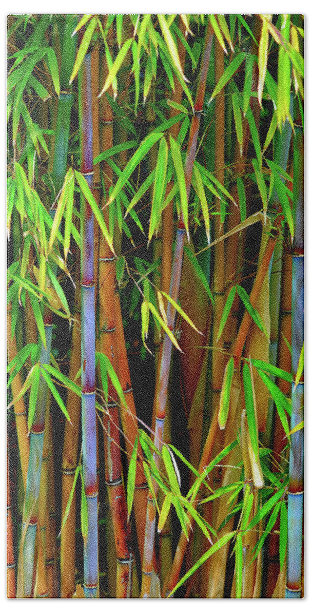 Bamboo Beach Towel featuring the photograph Bamboo by Harry Spitz
