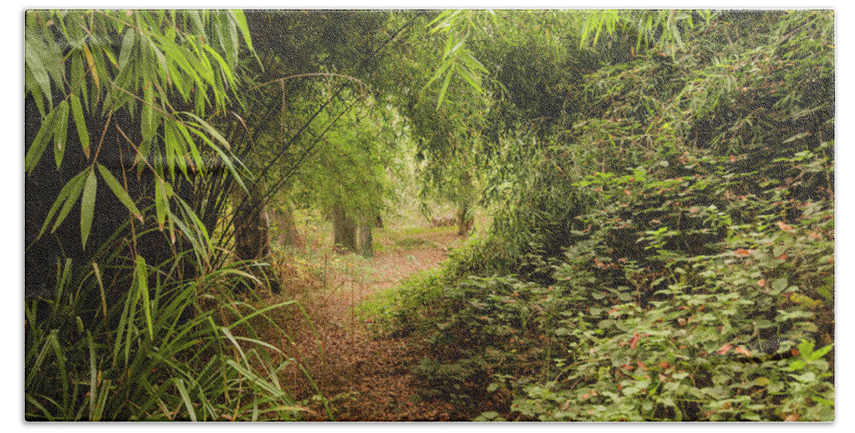 England Beach Towel featuring the photograph Bamboo Path by Spikey Mouse Photography