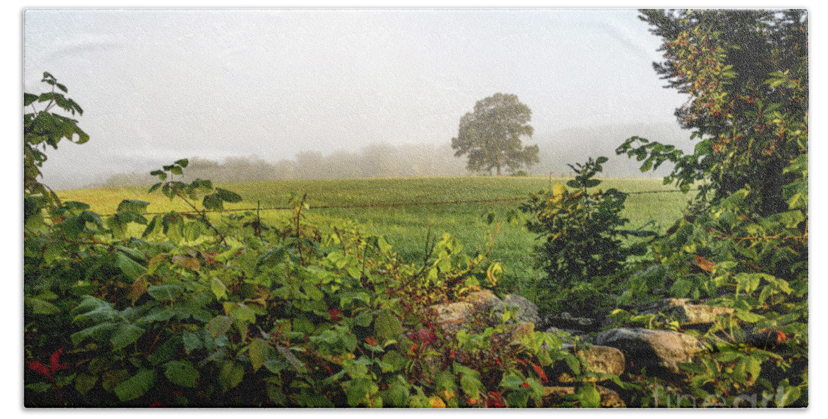 Barbed Wire Fence Beach Towel featuring the photograph Misty Meadow by Jim Gillen