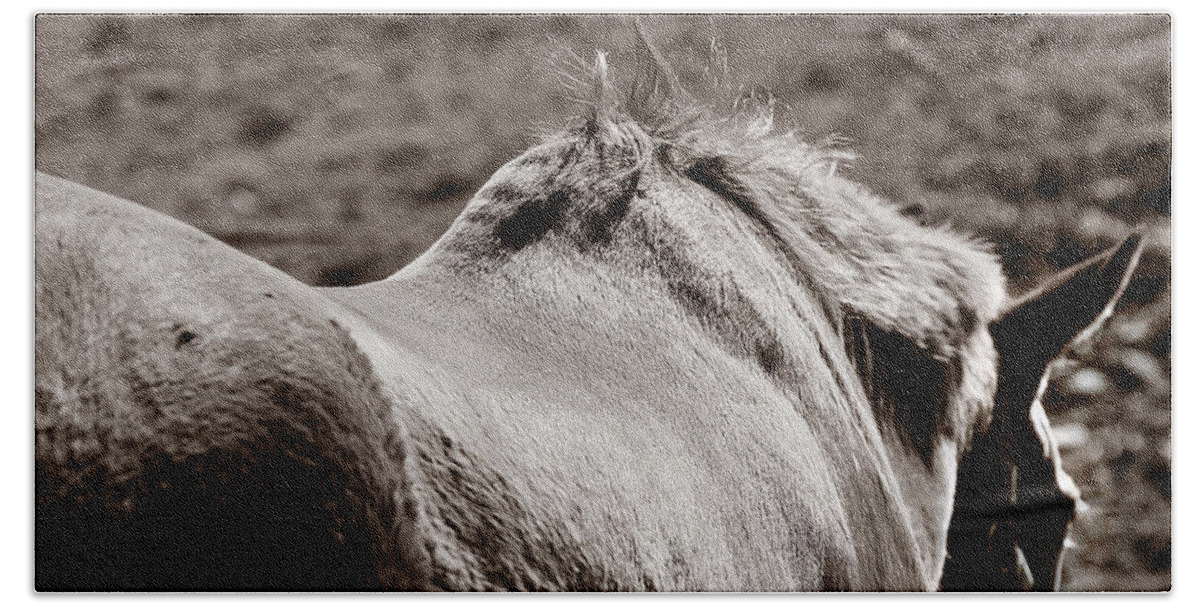 Horse Beach Towel featuring the photograph Bareback by Angela Rath