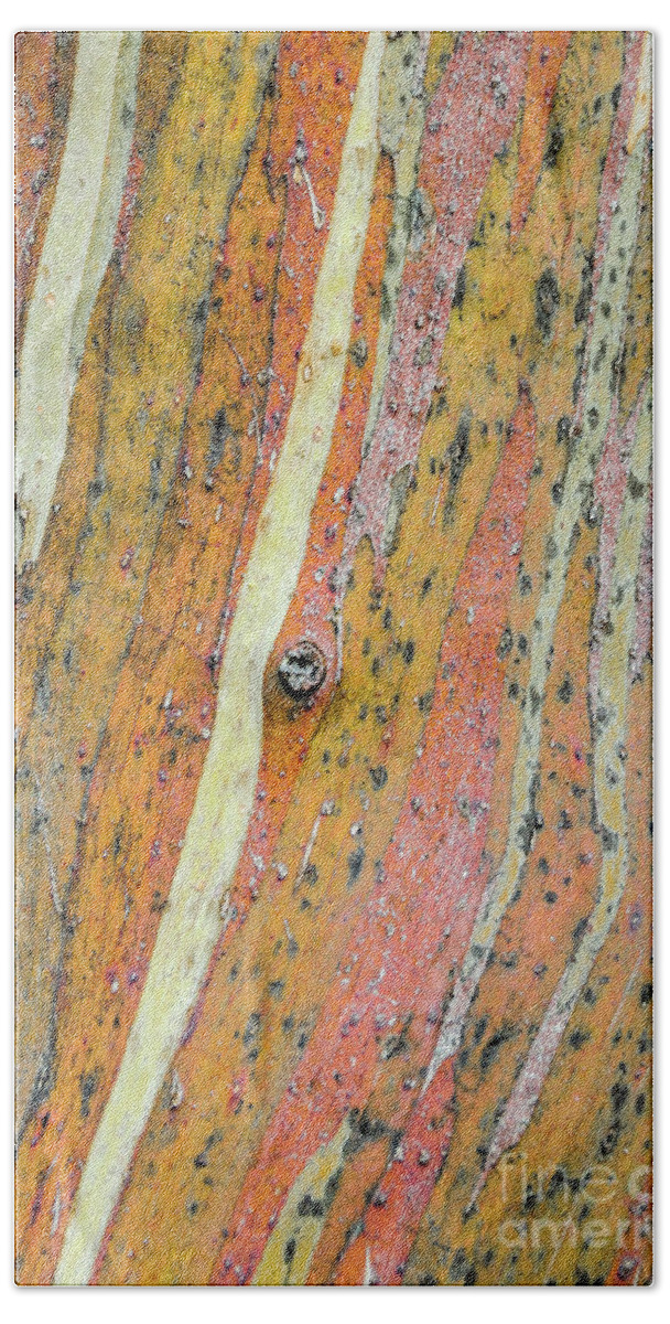 Nature Beach Towel featuring the photograph Bark MF3 by Werner Padarin