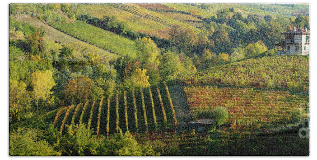 Barolo Beach Towel featuring the photograph Barolo Vineyards by Brian Jannsen