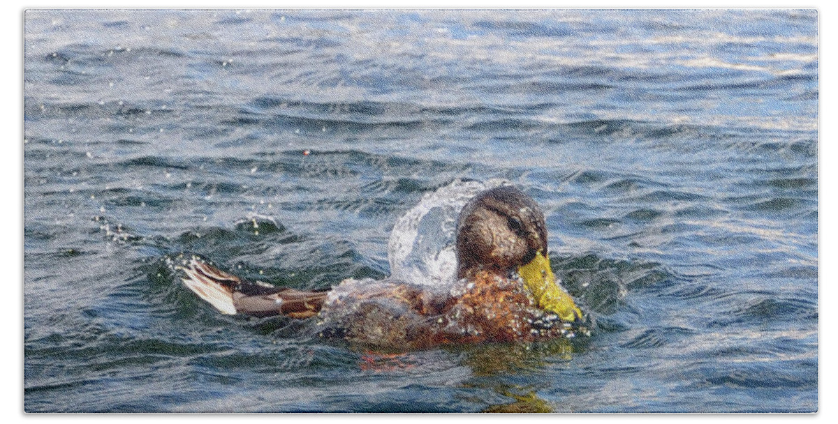 Duck Beach Sheet featuring the photograph Bath time by Glenn Gordon