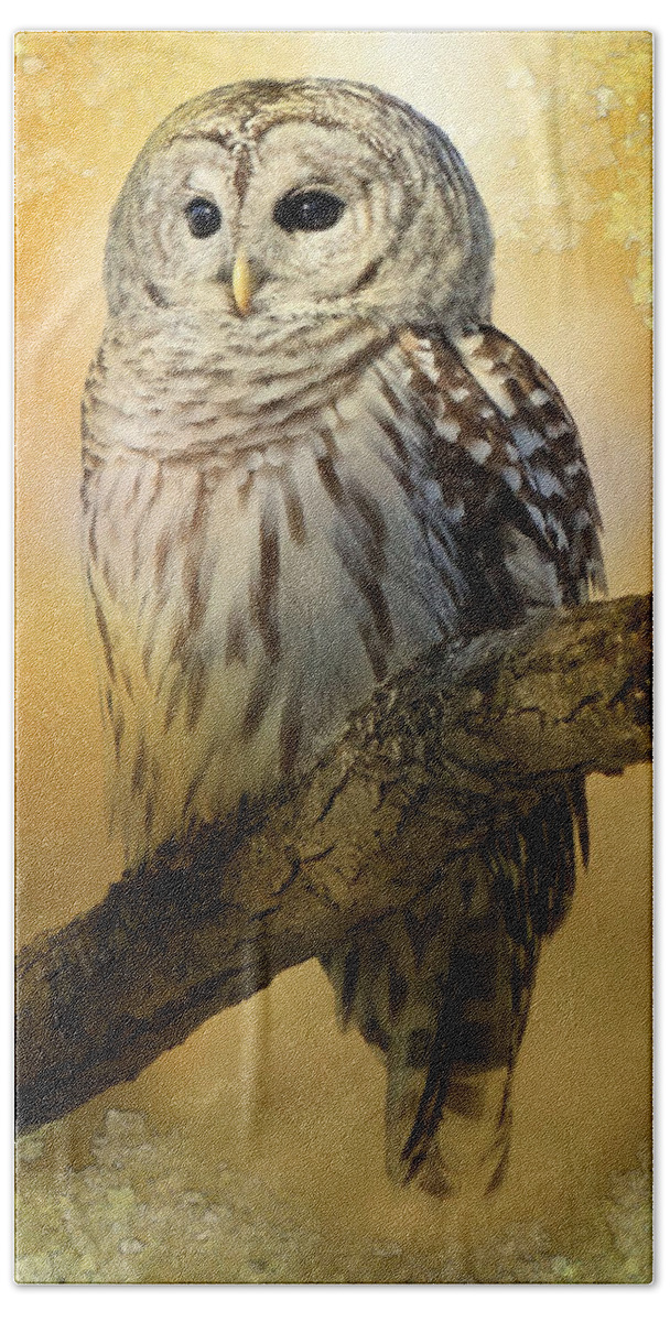 Owls Beach Sheet featuring the photograph Bathed in light by Heather King