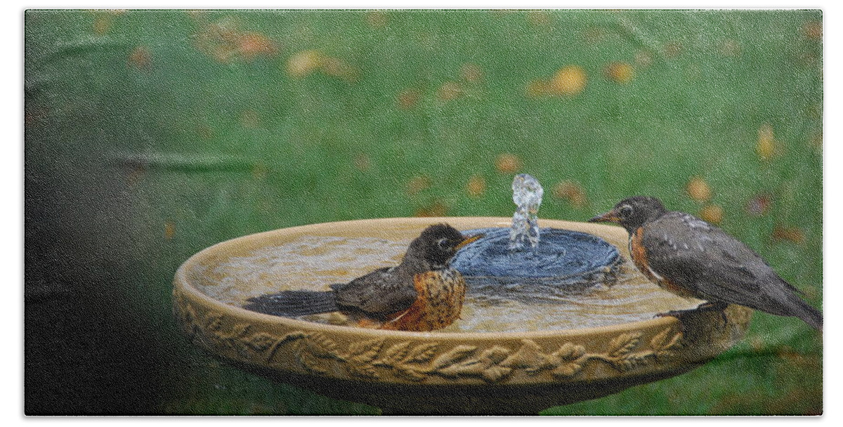 Bird Beach Towel featuring the photograph Bathtime in the Front Yard by Wanda Jesfield