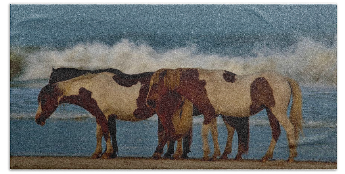 Beach Bum Pics Beach Sheet featuring the photograph Beach Bum Ponies by Billy Beck