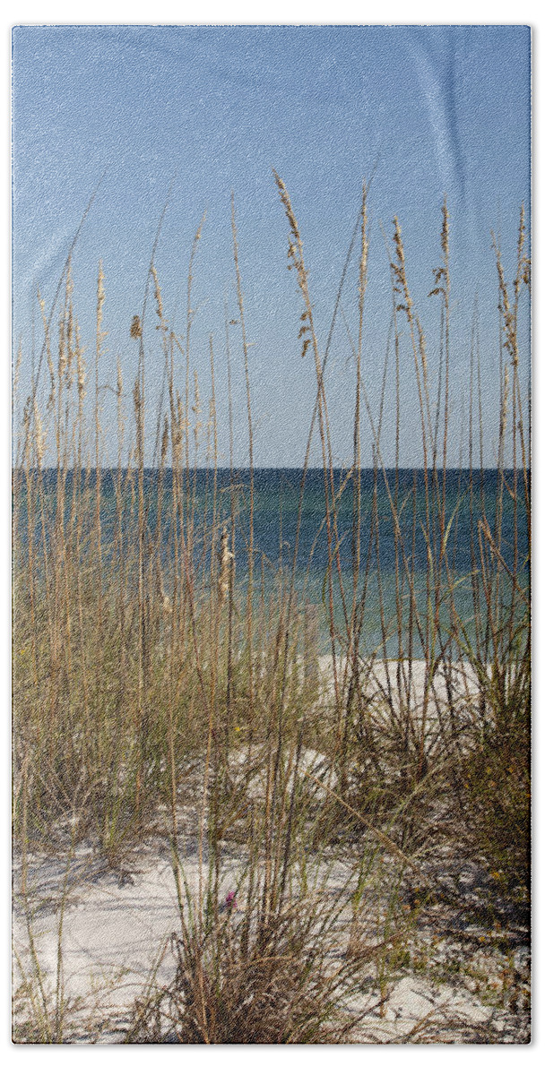 Dune Beach Towel featuring the photograph Beach Dune by Anthony Totah