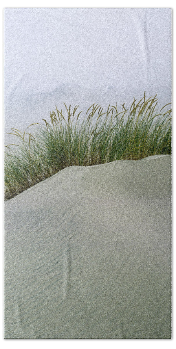 Beach Grass Beach Towel featuring the photograph Beach Grass and Dunes by Robert Potts