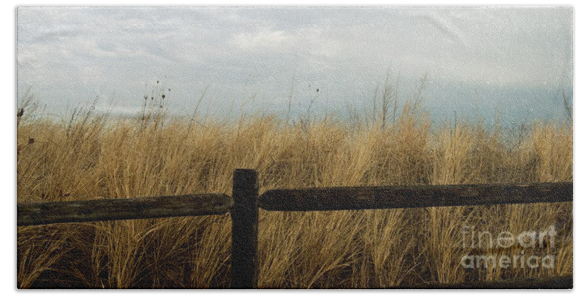 Grass Beach Towel featuring the photograph Beach Grass by Eunice Miller