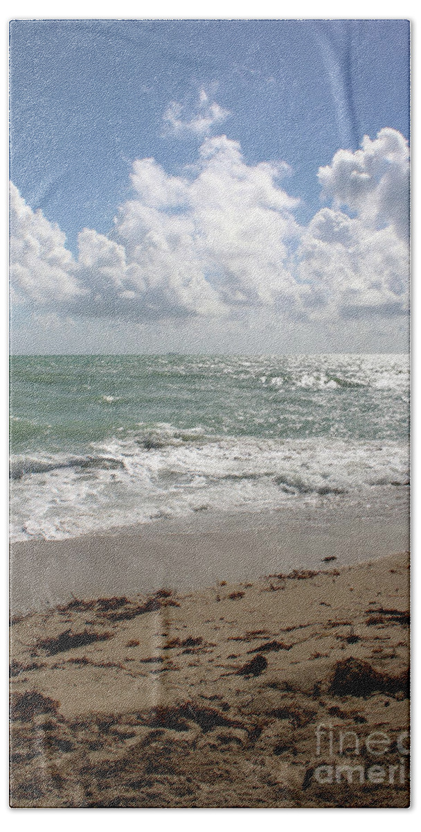 Beach Beach Towel featuring the photograph Beach Scene Vertical by Carol Groenen
