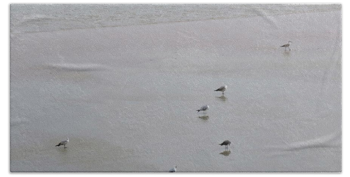 Kathy Long Beach Sheet featuring the photograph Beach Seagulls by Kathy Long