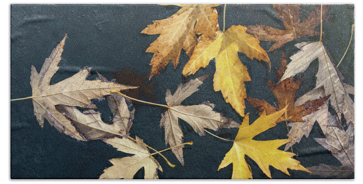 Fall Beach Towel featuring the photograph Beauties Of the Autumn by Jonathan Nguyen