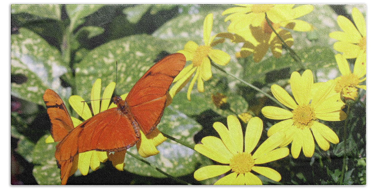Butterflies Beach Sheet featuring the photograph Beautiful Butterflies by Kelly Holm