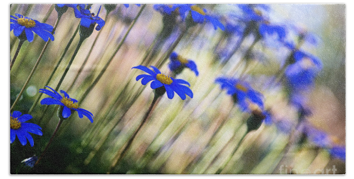 Beautiful Beach Towel featuring the photograph Beautiful Dancing Blue Flowers Romance by Joy Watson