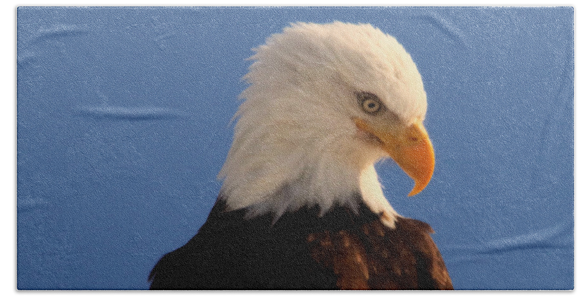Eagle Beach Towel featuring the photograph Beautiful Eagle by Jeff Swan