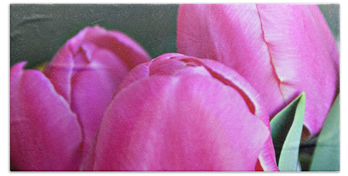 Tulips Beach Towel featuring the photograph Beautiful Pink Lipstick by Sherry Hallemeier