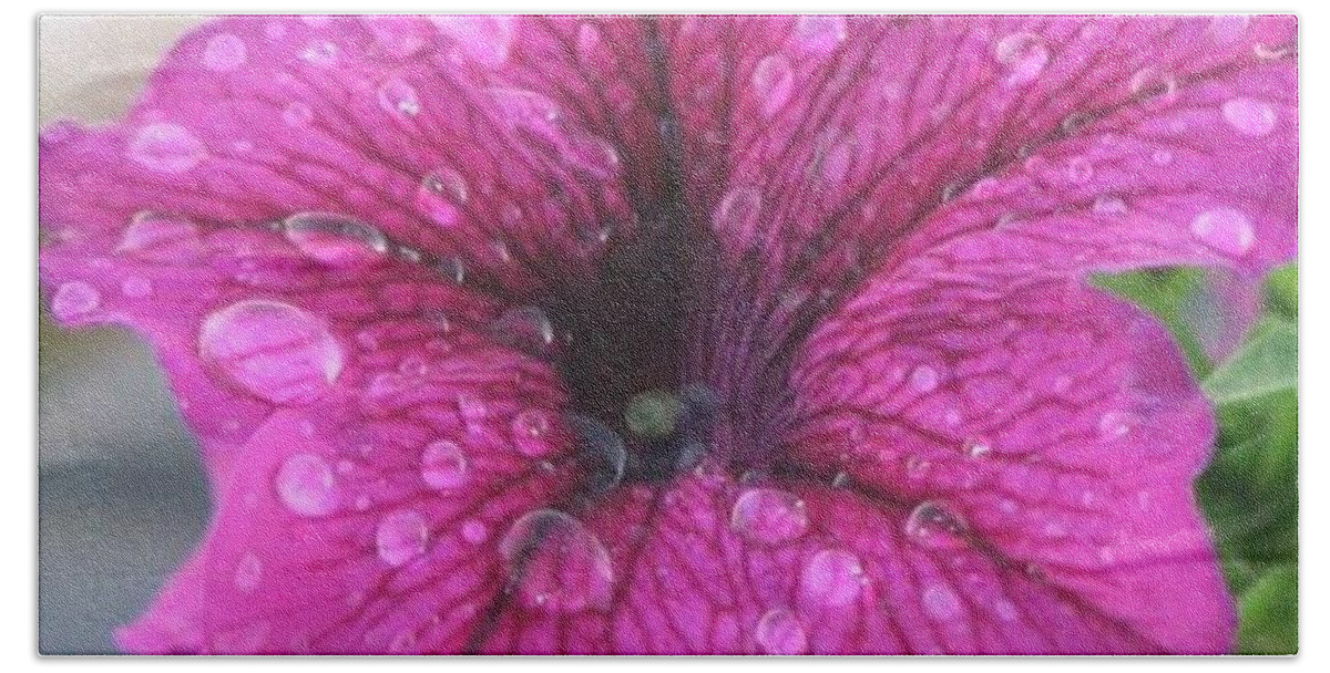 Purple Beach Towel featuring the photograph Beauty in Nature by Sharon Duguay