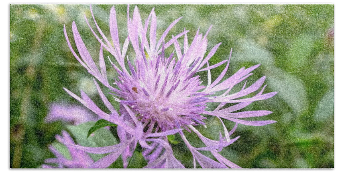 Nature Beach Towel featuring the photograph Bee Balm by Peggy King