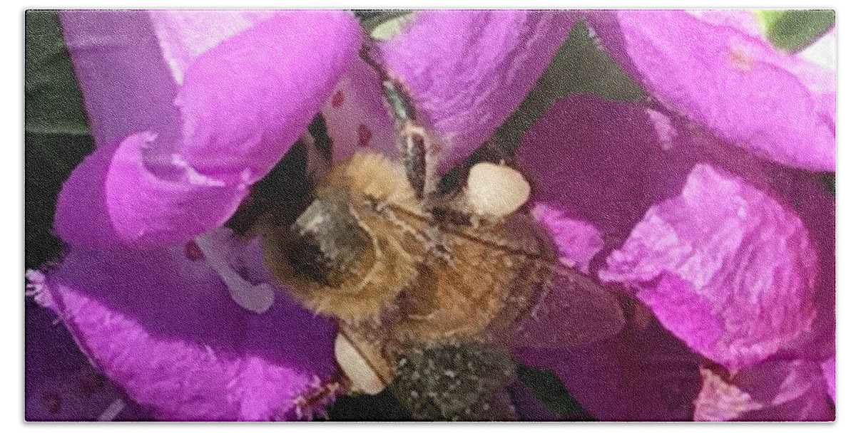 Purple Sage. Flower. Bee Beach Sheet featuring the photograph Bee by Erika Jean Chamberlin