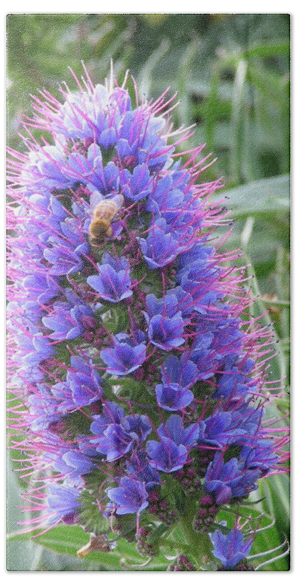 Flower Beach Towel featuring the photograph Bee on Blue by David Bader