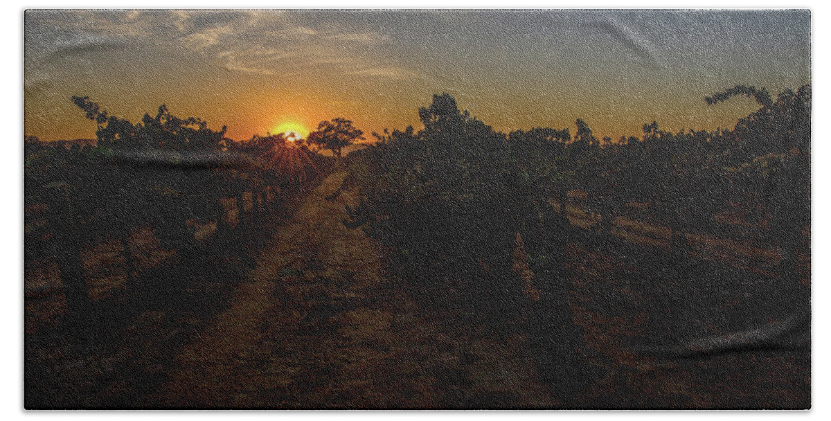 Paso Robles Beach Towel featuring the photograph Before Tomorrow's Harvest by Tim Bryan