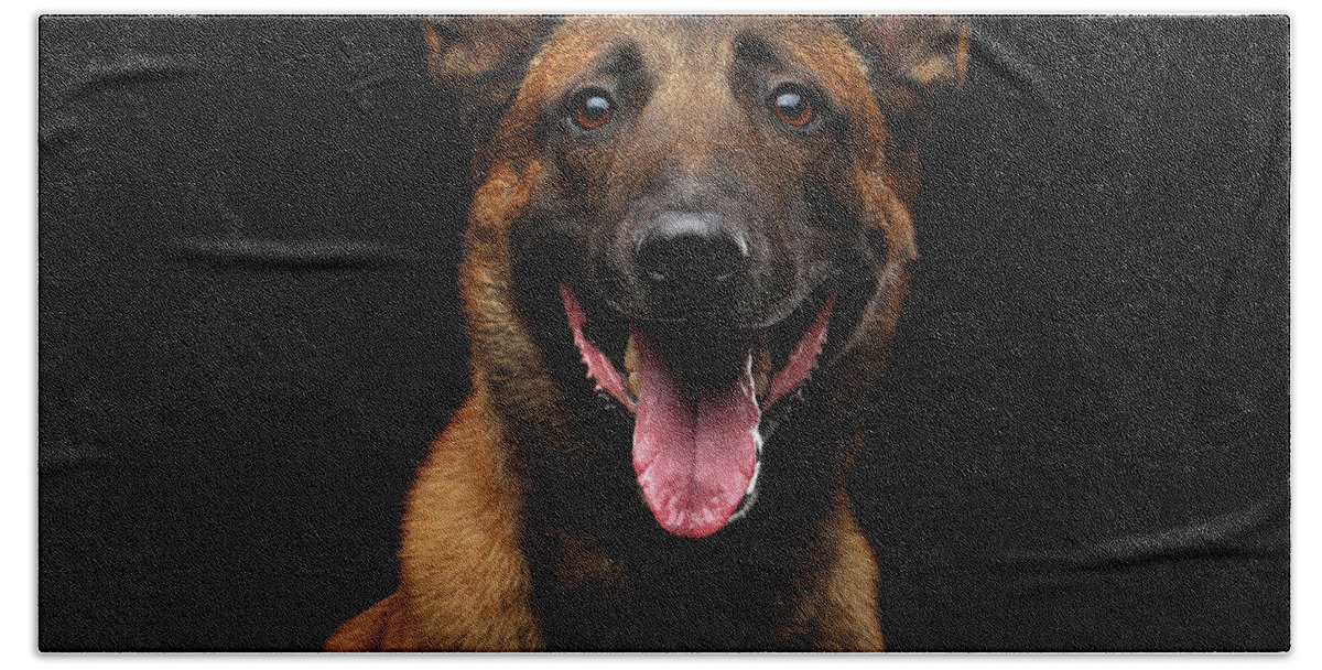 Dog Beach Sheet featuring the photograph Belgian Shepherd Dog malinois by Sergey Taran