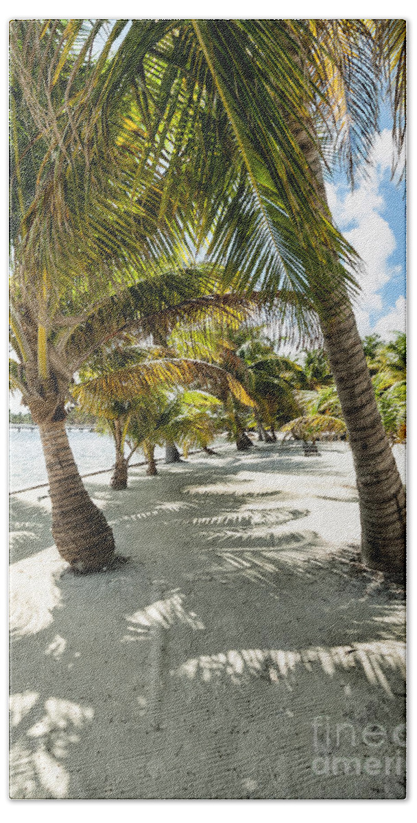 Ambergris Caye Beach Sheet featuring the photograph Belizean Palms by Lawrence Burry