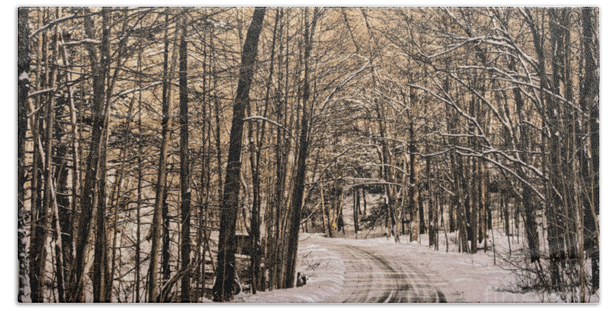 Winter Beach Towel featuring the photograph Bend in the Road by Onedayoneimage Photography