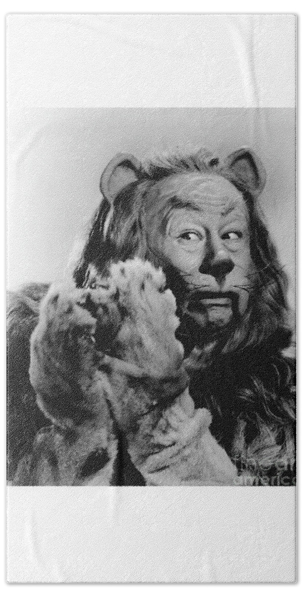The Wizard Of Oz Beach Towel featuring the photograph Cowardly Lion in The Wizard of Oz by Doc Braham