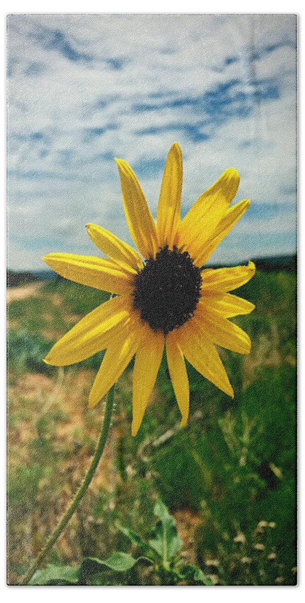 Sunflower Beach Towel featuring the photograph Between Heaven And Earth by Brad Hodges