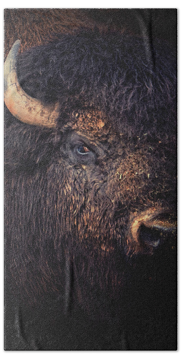 Bison Beach Towel featuring the photograph Big Shaggy One by Ron McGinnis