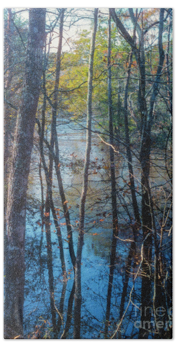 Big Thicket National Preserve Beach Towel featuring the photograph Big Thicket Water Reflection by Bob Phillips