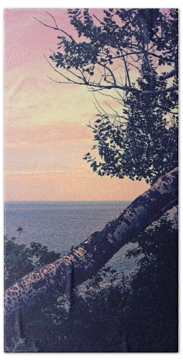 Sunset Beach Towel featuring the photograph Birch at the Overlook by Michelle Calkins