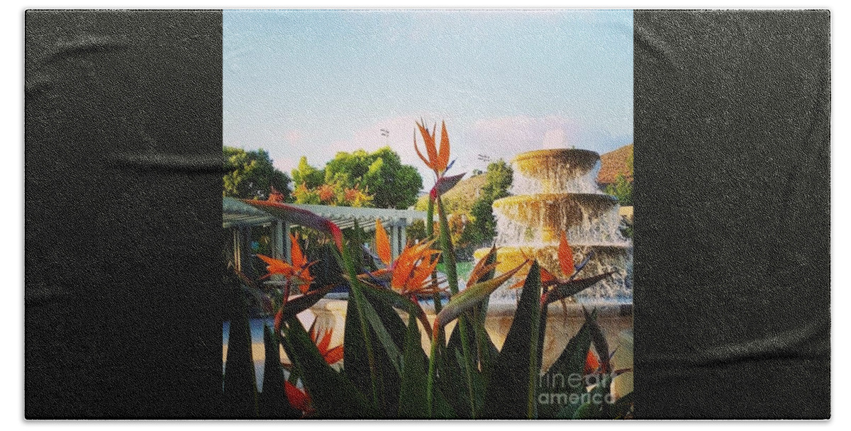 Nature Beach Towel featuring the photograph Bird of Paradise by Bridgette Gomes