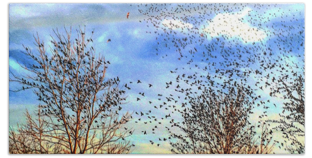 Hawks Beach Towel featuring the photograph Bird Swarms Versus Hawks on the Prairie by Michael Oceanofwisdom Bidwell
