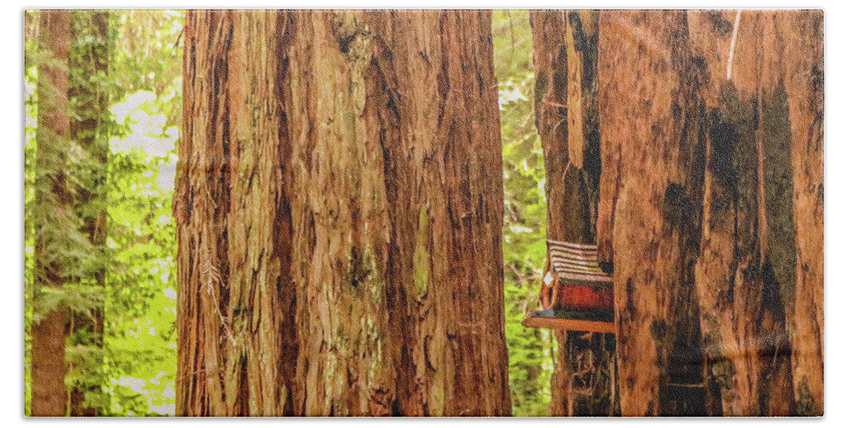 Wildlife Beach Towel featuring the photograph Birdhouse in a redwood tree by Claudia M Photography