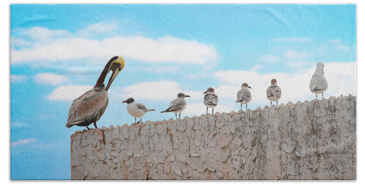 Bonnie Follett Beach Towel featuring the photograph Birds Catching Up on News by Bonnie Follett