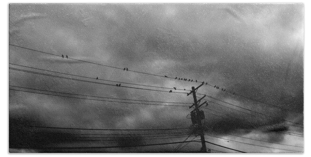 Birds Beach Sheet featuring the photograph Birds on a Wire 2018 by Chris Montcalmo