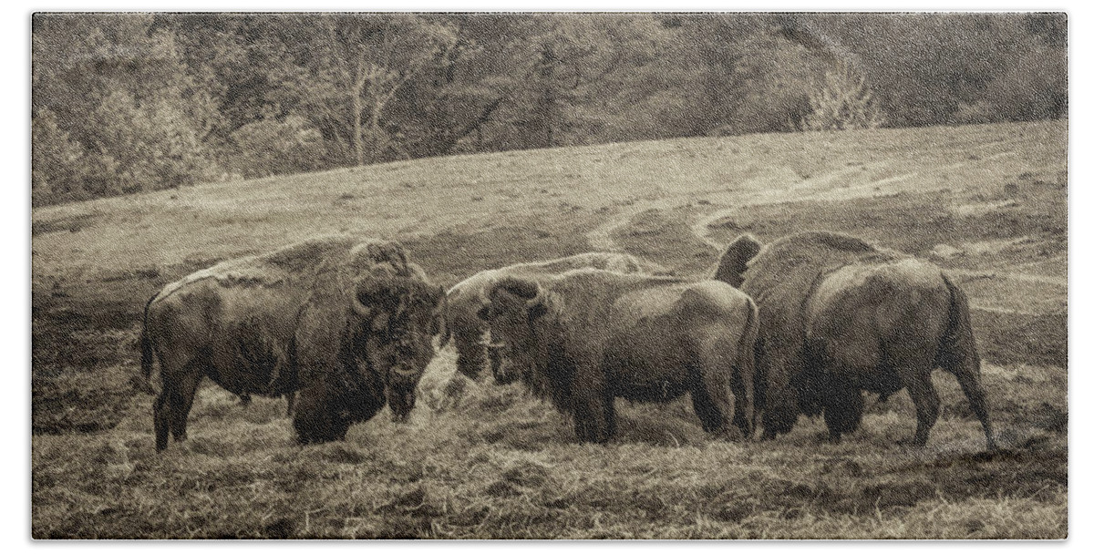 Bison Beach Towel featuring the photograph Bison 1 - pano by Joye Ardyn Durham