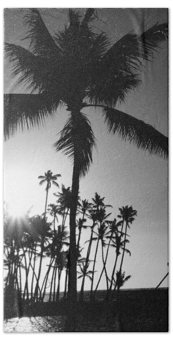 Black and White Palm Tree Beach Towel for Sale by Pamela Walton