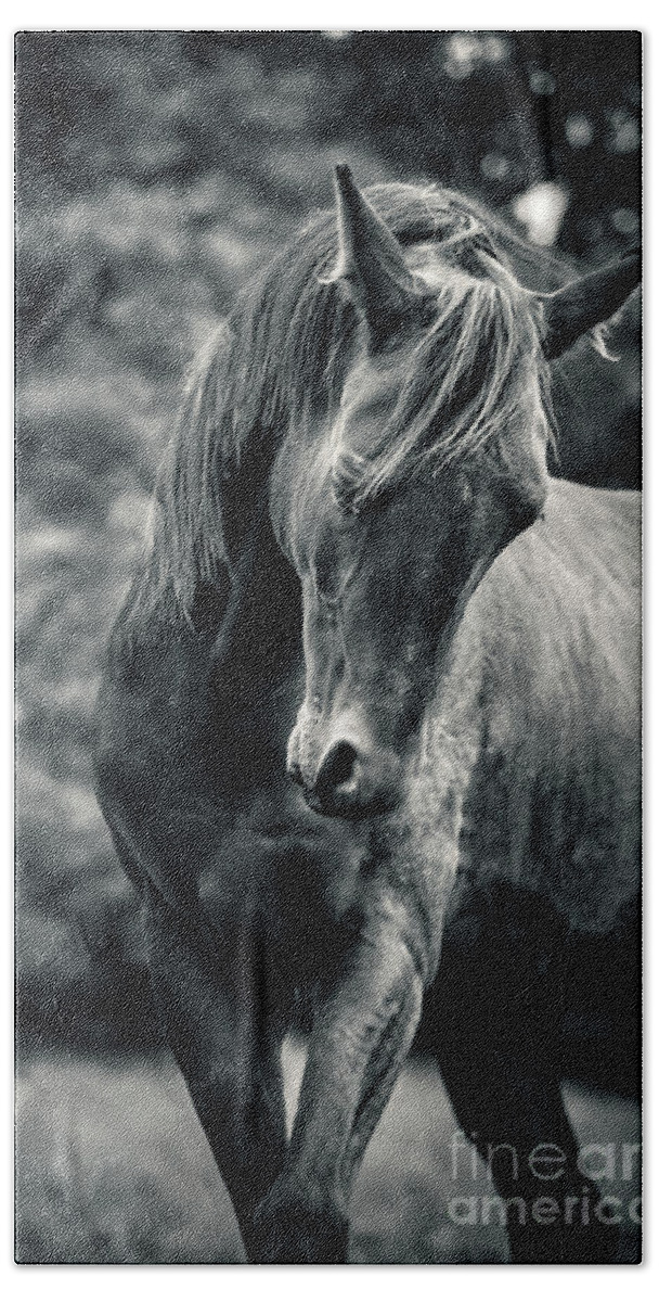 Horse Beach Towel featuring the photograph Black and white portrait of horse by Dimitar Hristov