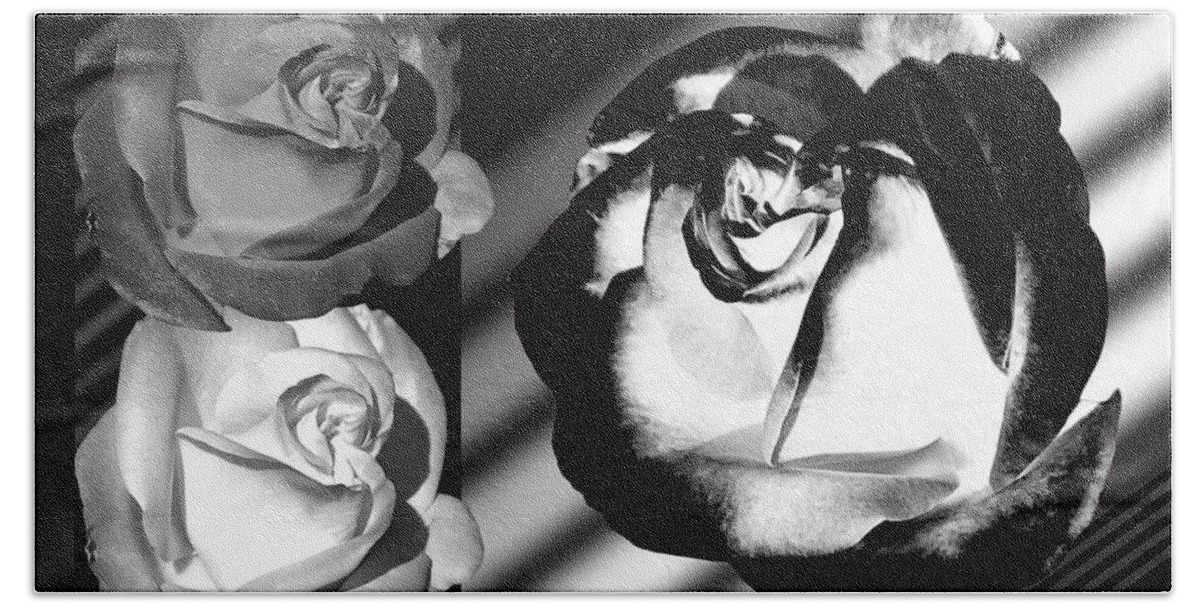 Roses Beach Sheet featuring the photograph Black And White Roses by Phyllis Denton