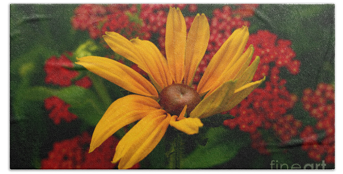 Blackeyed Susan Beach Towel featuring the photograph Black-eyed Susan and Yarrow by Steve Augustin