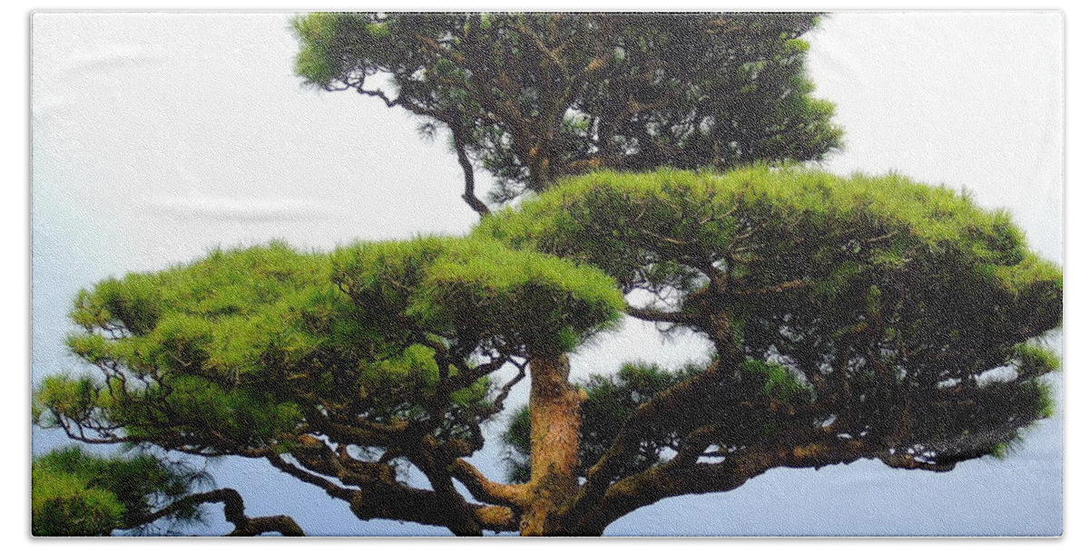 Foliage Beach Towel featuring the photograph Black Pine Japan by Susan Lafleur