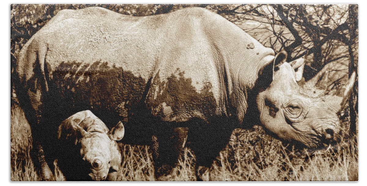 Rhinoceros Beach Towel featuring the photograph Black Rhino and youngster by Baggieoldboy