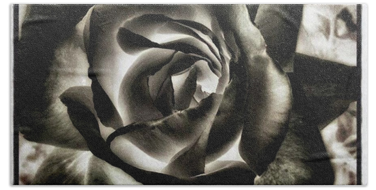 Artphoto Beach Sheet featuring the photograph Black Rose. Symbol Of Farewells by Mr Photojimsf